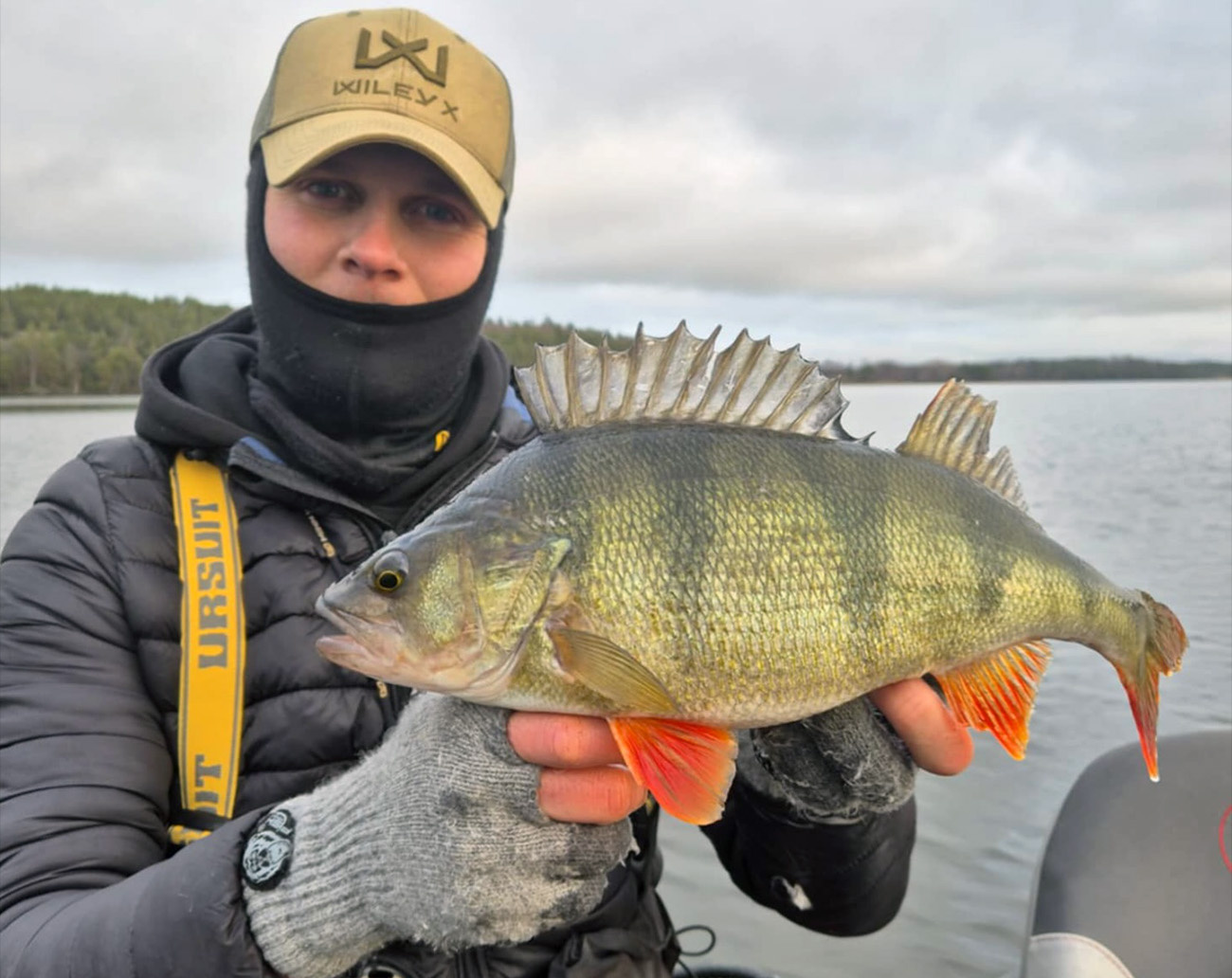 Weksell's Ninety Two Carolina Reaper 7,6' 5-21g Combo